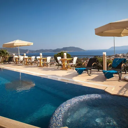 Aysima 3* 카스